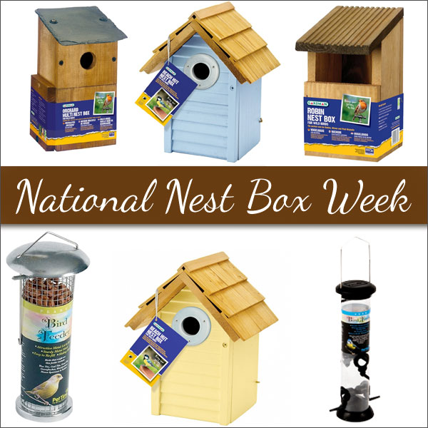 Nest_Box_Week