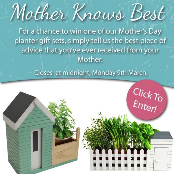 Mother_Knows_Best_Graphic_2