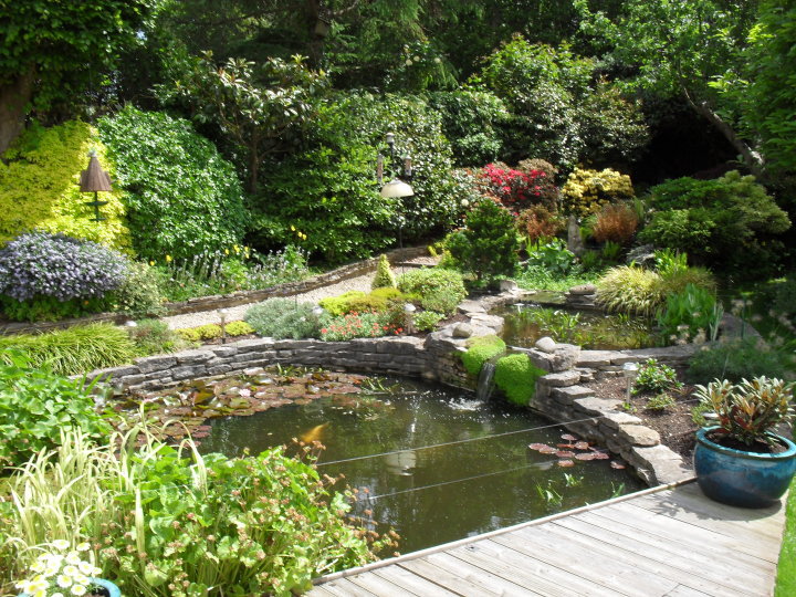 Competition: Amazing Gardens Winners - Sefton Meadows Blog