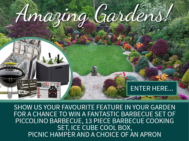 Garden Feature Header