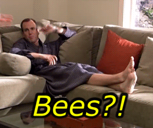 5 Tips for a Bee Friendly Garden