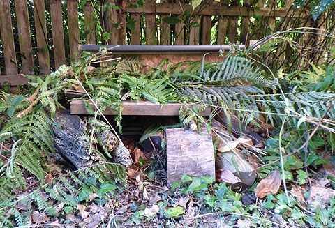 hedgehog house1 480