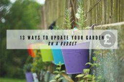 13 ways to update your garden on a budget