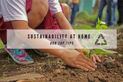 Sustainability at home