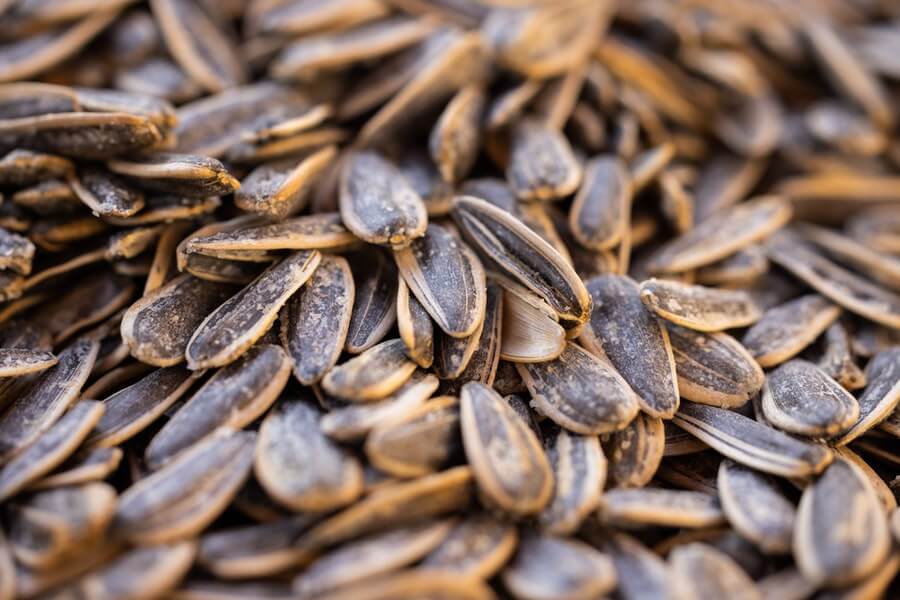 brown and black seed assortment