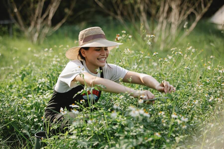 deadheading plants