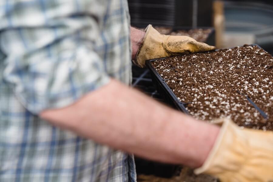 gardener holding container filled with soil