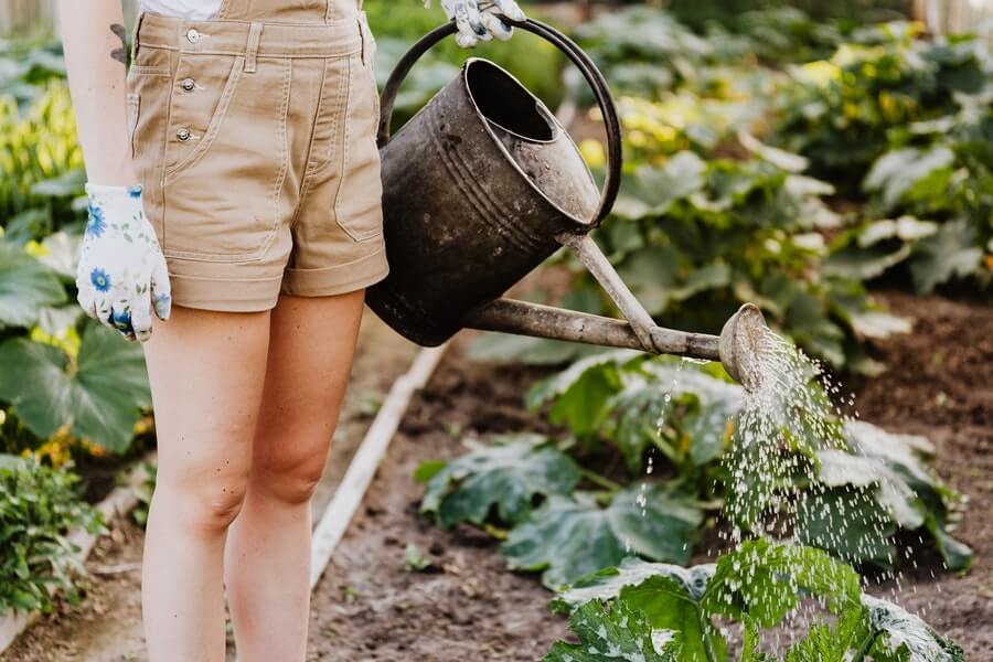 Watering garden