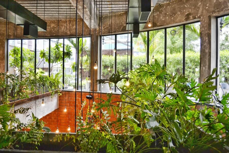 exotic plants in an indoor garden