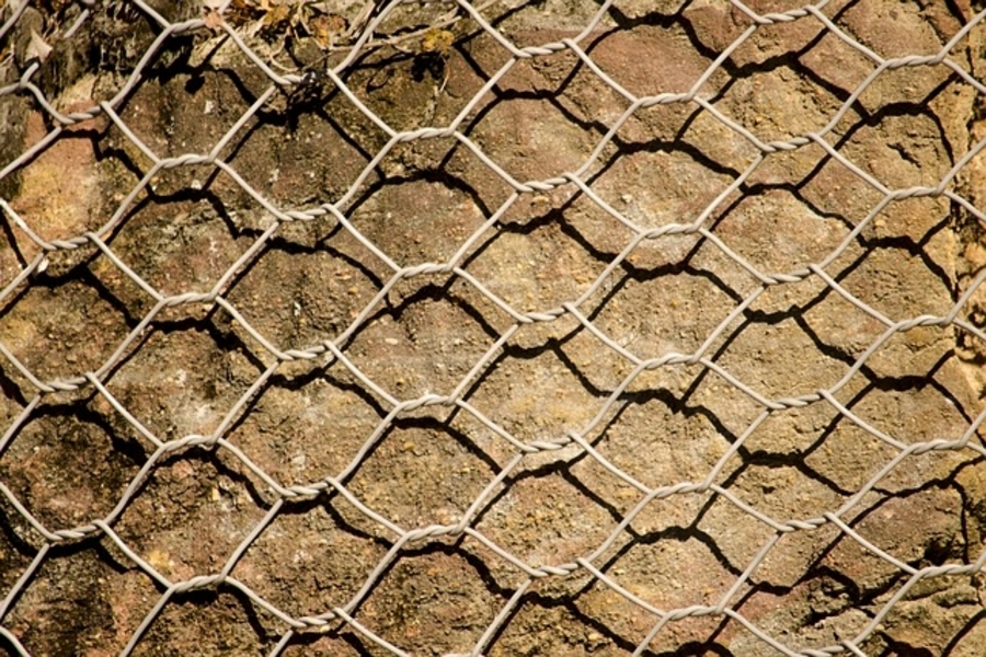 wire meshing over flowerbeds as an example of how to get rid of mice naturally