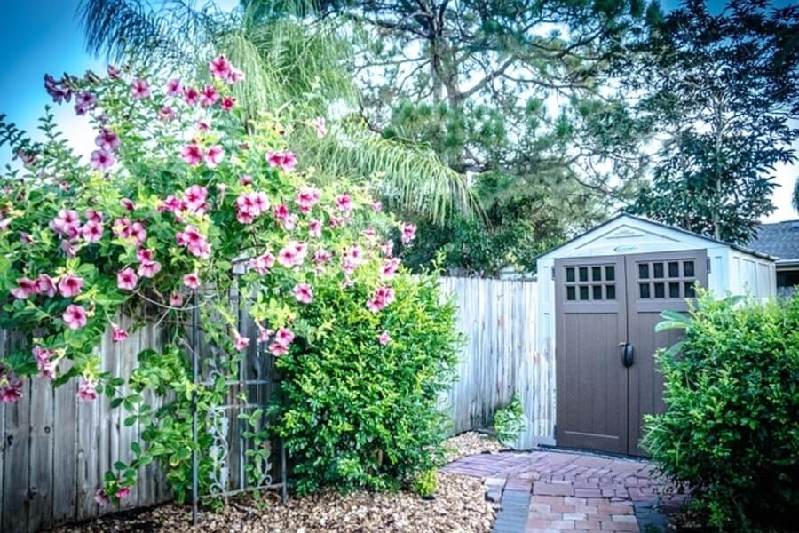 garden shed with flowers