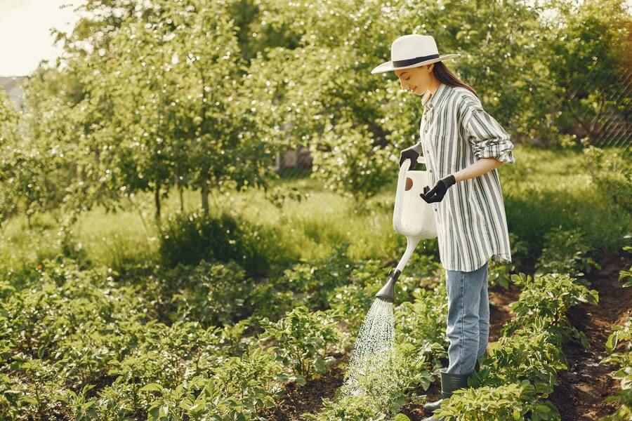 woman working in an eco friendly garden