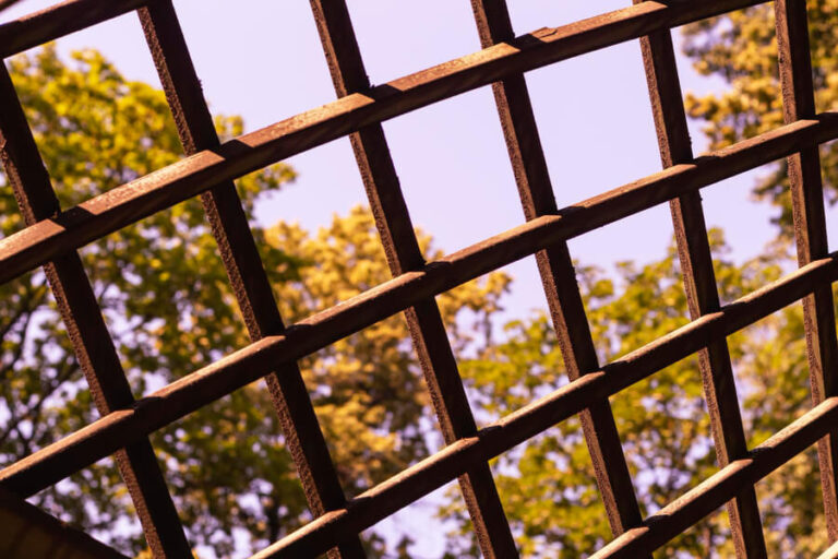 Adding Trellis To Existing Fence Sefton Meadows Blog