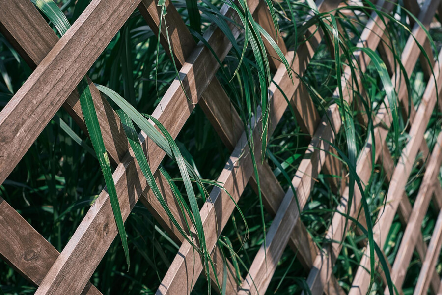 Adding Trellis To Existing Fence Sefton Meadows Blog   Wooden Trellis With Plants 