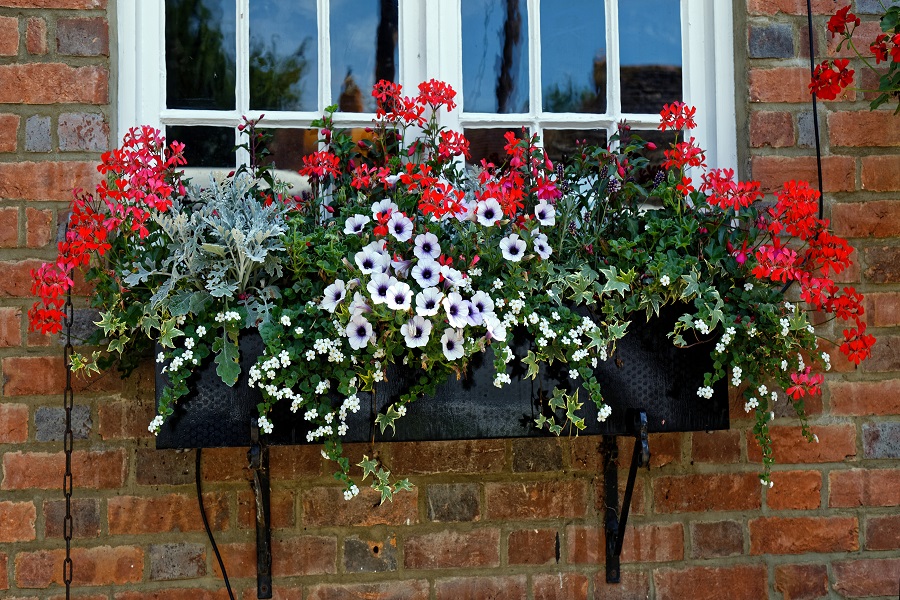 window box for low-maintenance garden 