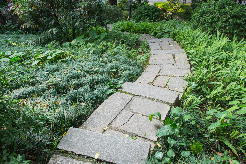 paving pebbles and plants for low-maintenance garden 