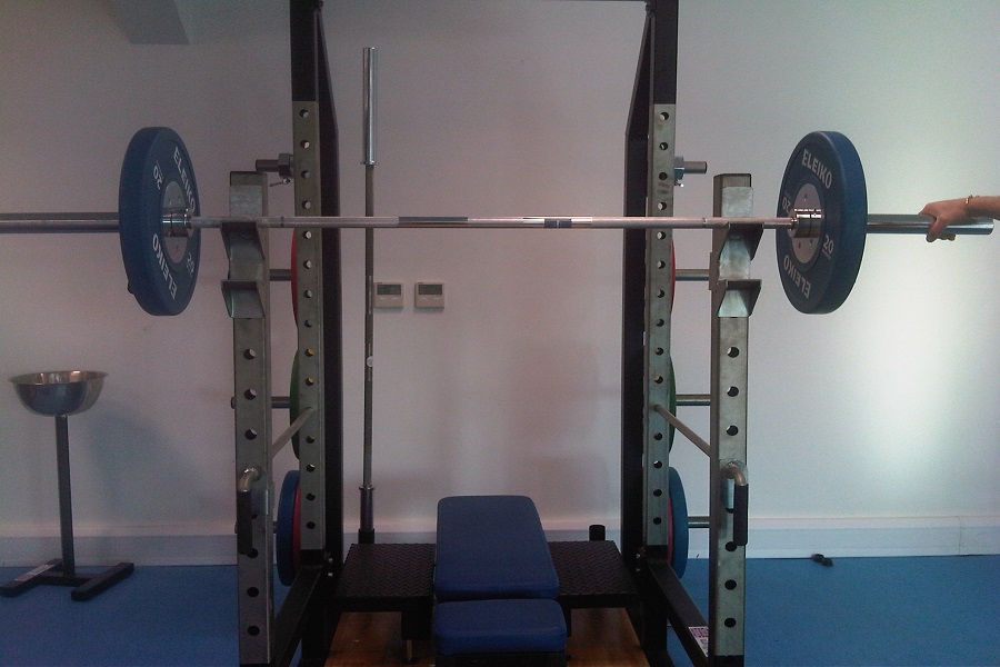 build a gym in the garden with a squat rack 