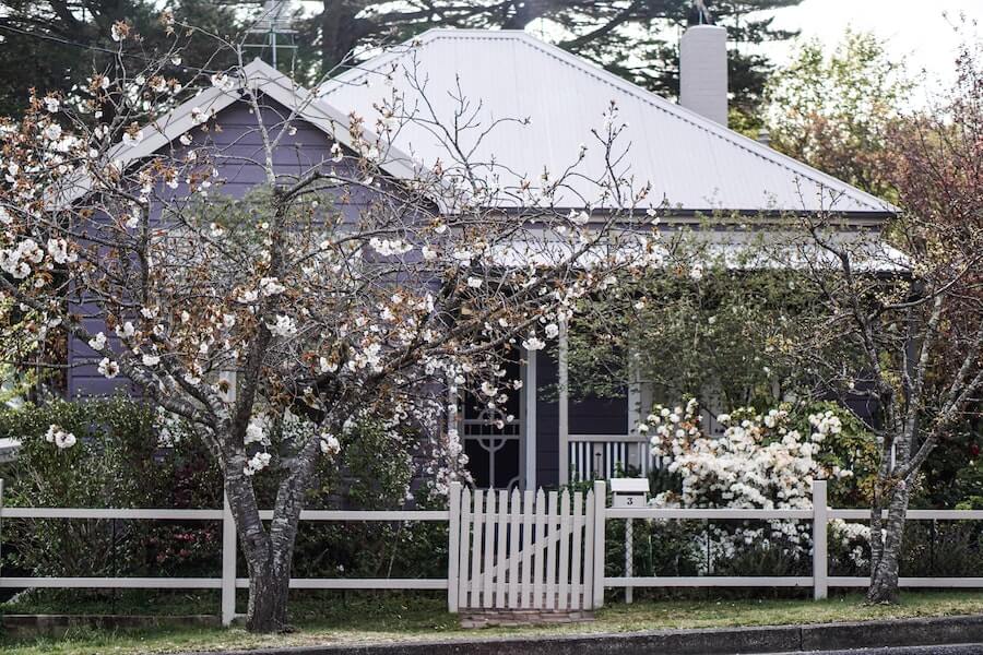 front garden with textured trees