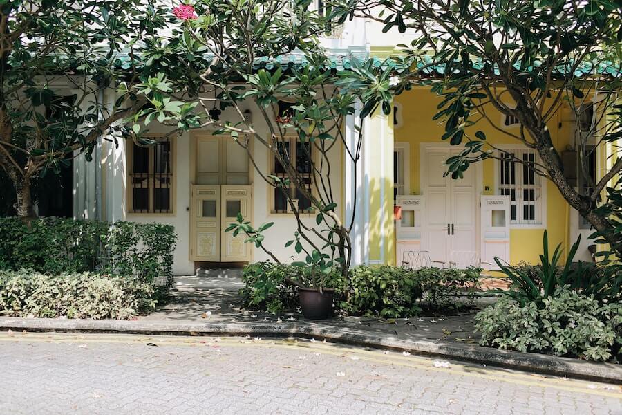 terraced houses with shared gardens with potted plants