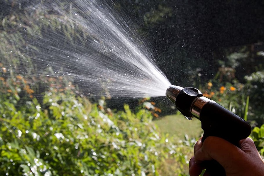 spray water for help on how to get rid of greenfly and blackfly 