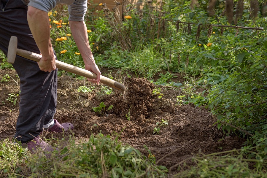 add mulch to remove weeds from garden