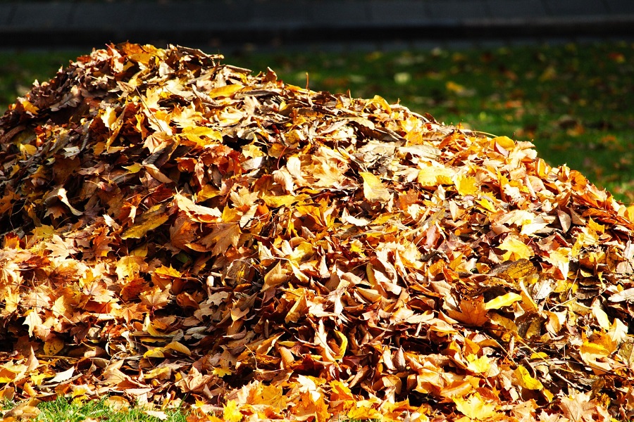 wildlife garden ideas with wood and leaf piles