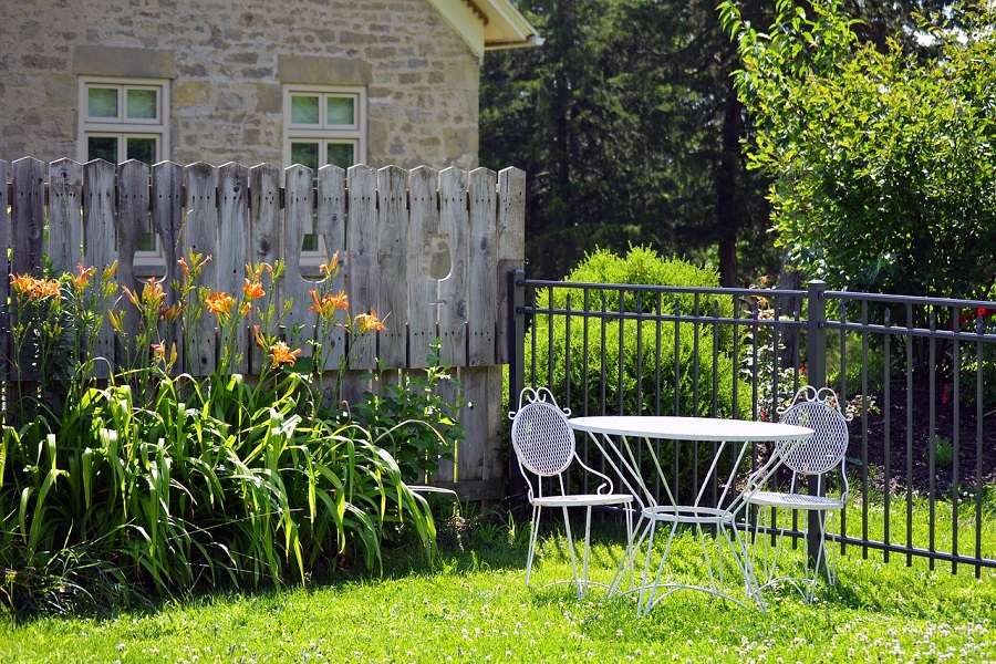 garden privacy ideas screen planting 