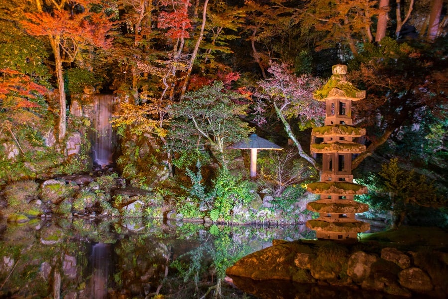 lit up garden pond idea