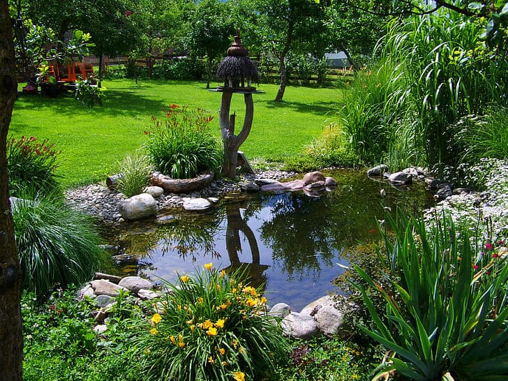 garden pond idea edging