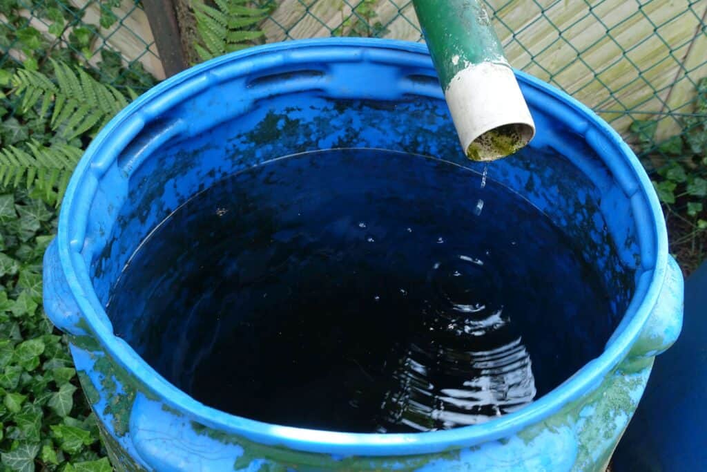 recycle rainwater for small garden pond ideas